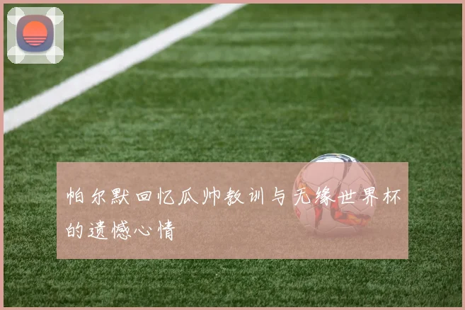 帕尔默回忆瓜帅教训与无缘世界杯的遗憾心情