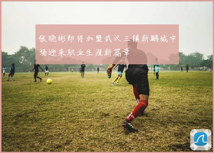 张晓彬即将加盟武汉三镇新鹏城中场迎来职业生涯新篇章
